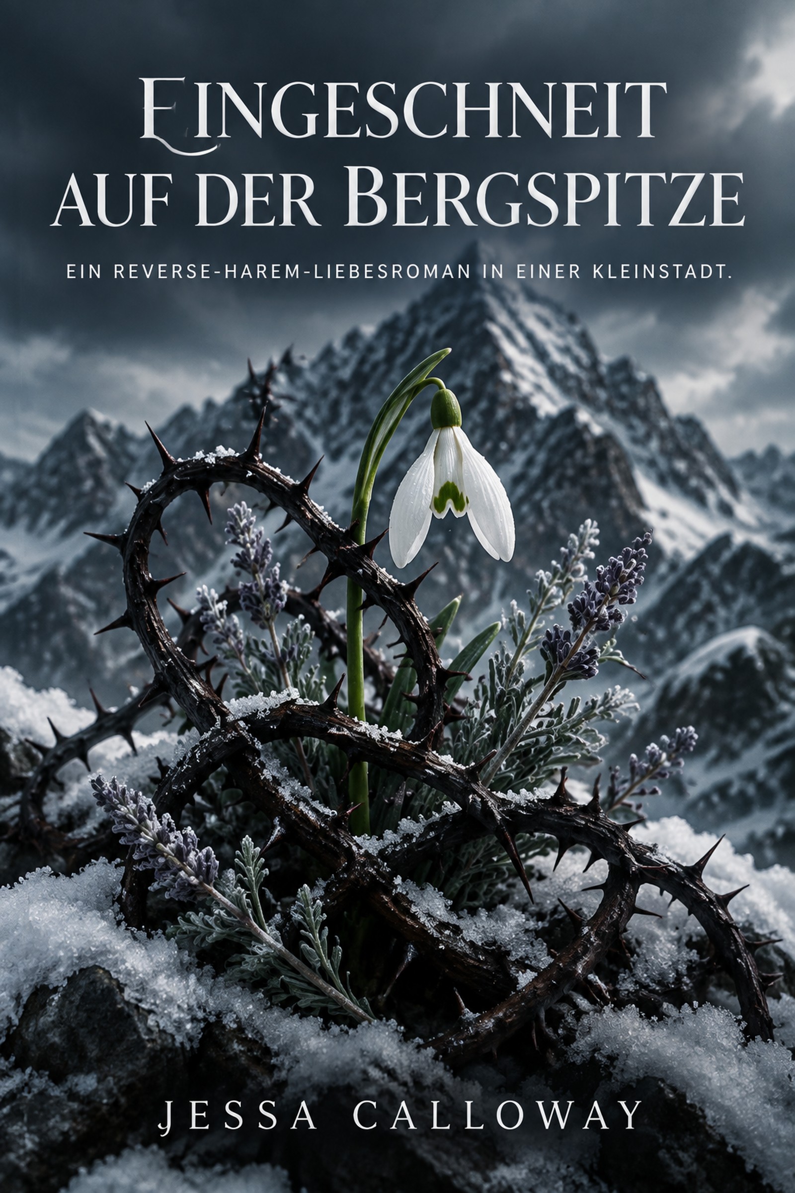 Eingeschneit auf der Bergspitze