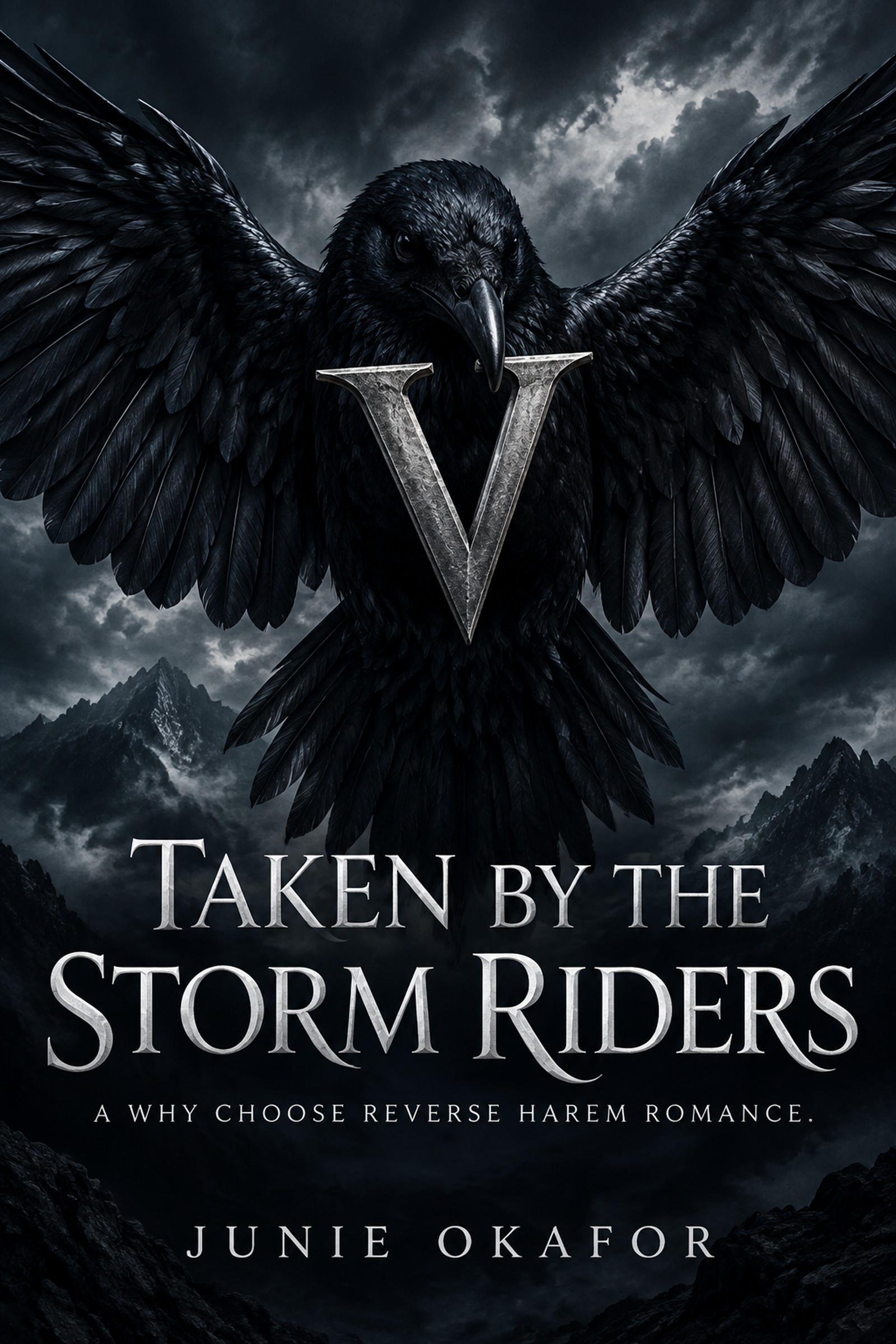 Taken by the Storm Riders