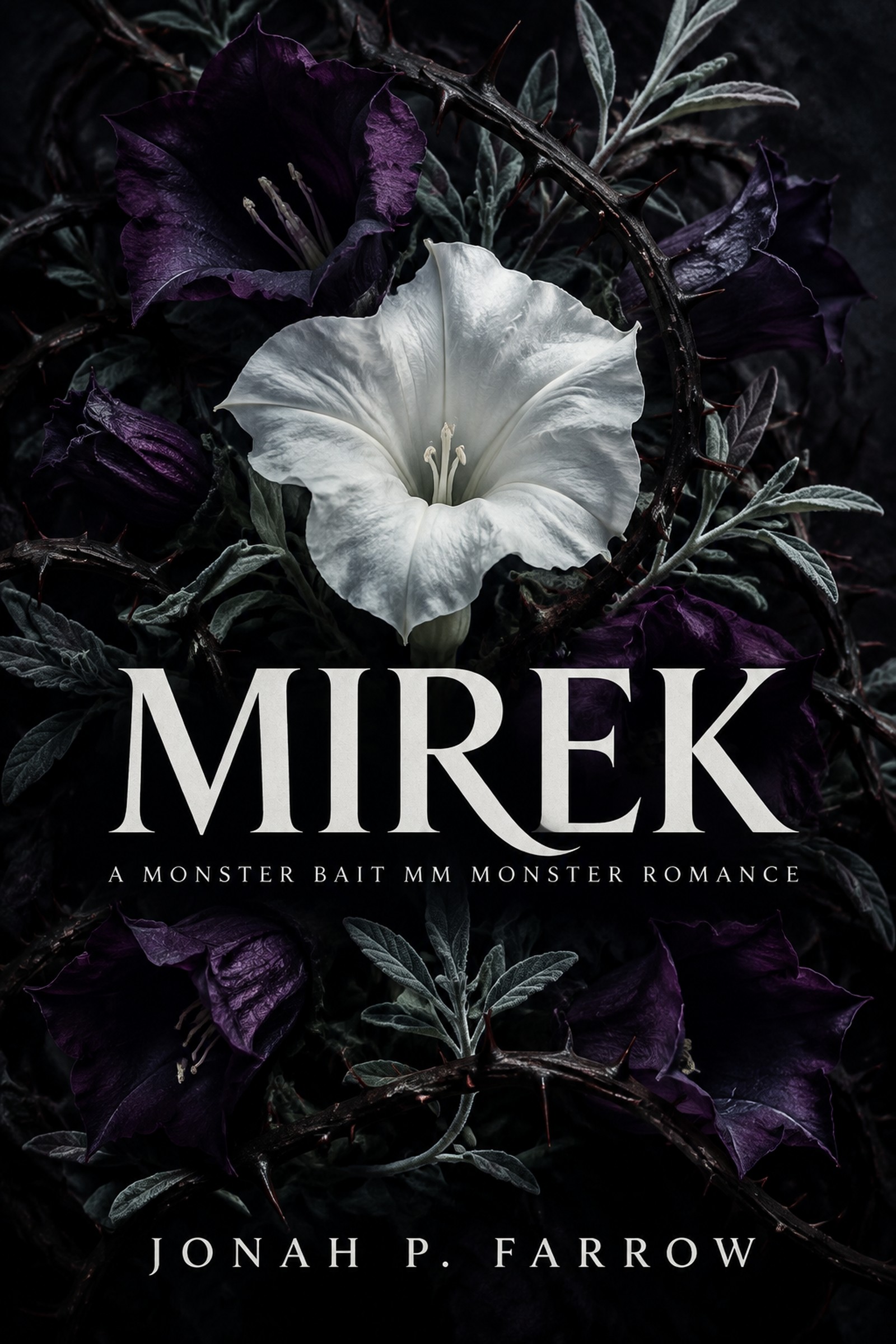 Mirek