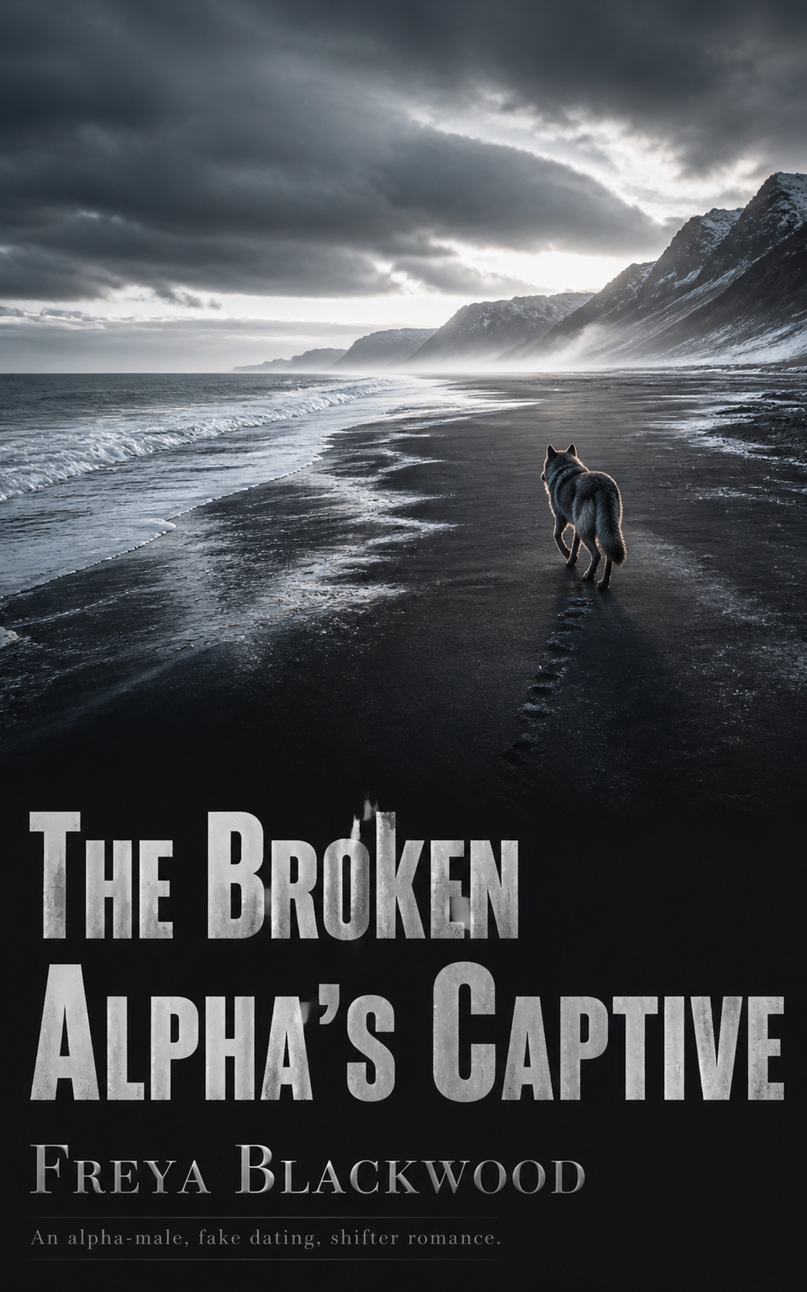 The Broken Alpha's Captive