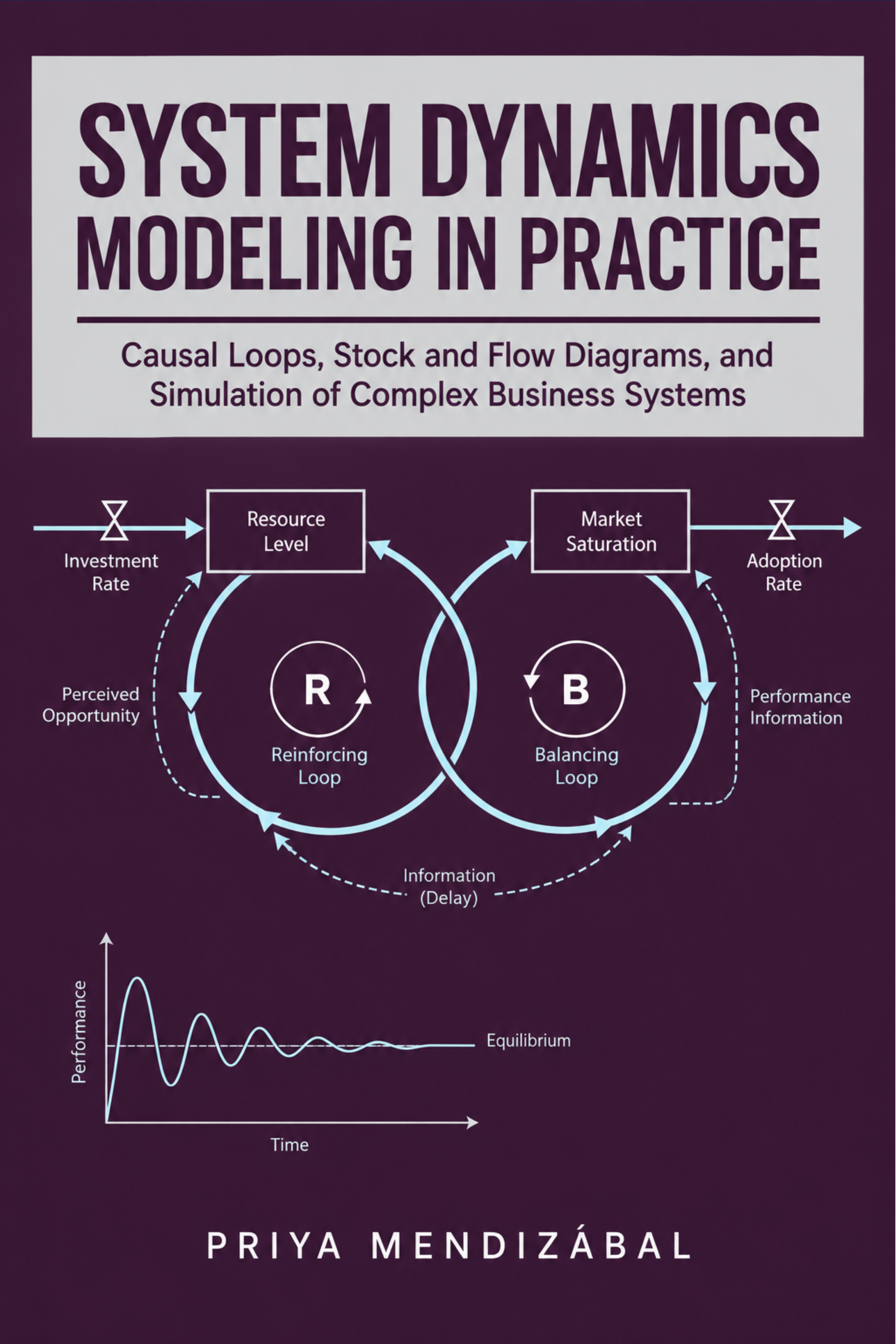 System Dynamics Modeling in Practice